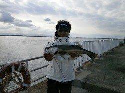 南港海釣り公園、探り釣りでガシラ&ハネ59cmも