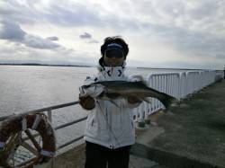 南港海釣り公園、探り釣りでガシラ&…