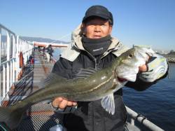 尼崎市魚つり公園、ウキ釣りでハネとチヌなど…