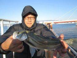 尼崎市魚つり公園、ウキ釣りでハネとチヌなどあがってます