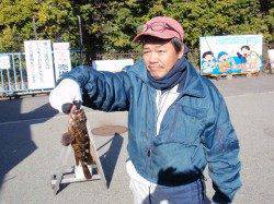 25cm頭に園内合計20匹 南港海釣り公園でガシラ他