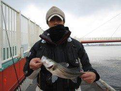 ウキ釣り、喰い渋めでした… シラサエビを使ってハネ・チヌ