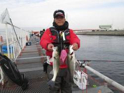 本日は釣り日和でした　尼崎市魚つり公園でハ…