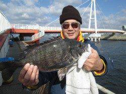 尼崎市魚つり公園 ウキ釣りでハネ・セイゴ・チヌ