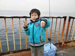 風も波も無く良いコンディションでした、南港海釣り公園ガシラ釣果