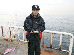 風も波も無く良いコンディションでした、南港海釣り公園ガシラ釣果