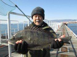 尼崎市魚つり公園、シラサのウキ釣りでハネ・チヌ