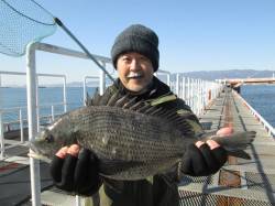尼崎市魚つり公園、シラサのウキ釣りでハネ・…
