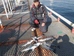 今日は良いお天気、尼崎市魚つり公園釣果情報