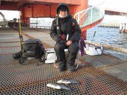 尼崎市魚つり公園ウキ釣りでスズキあがりました!