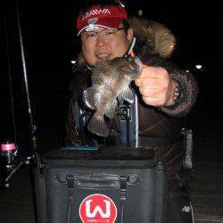 大阪南港メバリング～ベタ底狙いで20㎝UPのメバル