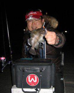 大阪南港メバリング～ベタ底狙いで20㎝UPのメバル