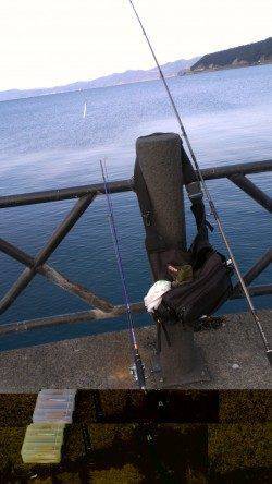 敦賀新港にてショアジギングでサゴシ