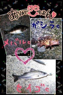 香住　雨・強風の中でのメバリング釣行