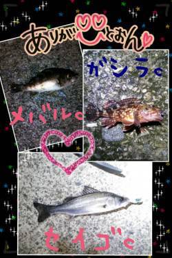 香住　雨・強風の中でのメバリング釣行