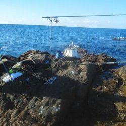 御坊・カッオ島沖の鼻へのフカセ釣り釣果