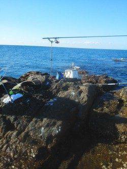 御坊・カッオ島沖の鼻へのフカセ釣り釣果