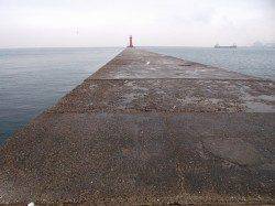 【撒き餌に子メバル群がるのが見えました】今後に期待