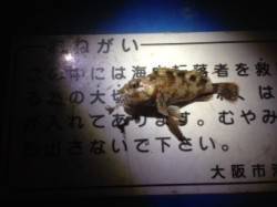 最近開拓中の南港北港エリアで数ヶ所下見へ