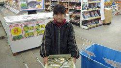 みなべ堺漁港でサビキ釣り【赤アジのほうがよくひいた】