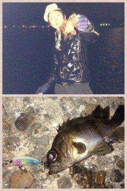 気温2度の中8時間粘っての釣果、メバルはプラグで！