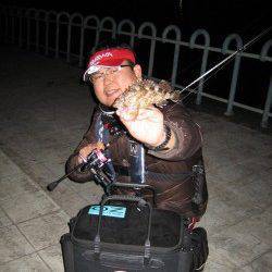 ライトワインドでガシラ1キャスト1ヒット、40cmの良型キビレも♪