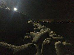 飾磨周辺でのメバリング釣果