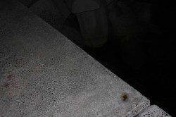 室津港でメバリング、ミニガシラがポツポツ