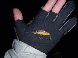 ボトムワインドで手強いアフターのメバルをゲット