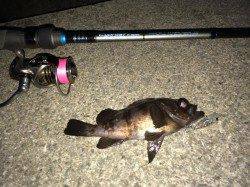 仕事帰りにメバリングへレッツゴー！