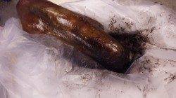 すさみ地磯のエギングでアオリイカ1.4kg・1.2kg