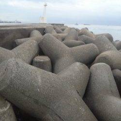 夕方1時間の穴釣りでガシラが相手してくれました