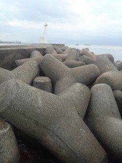 夕方1時間の穴釣りでガシラが相手してくれました