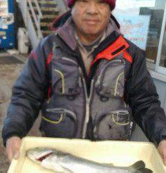 岸和田一文字、カレイ好調キープです♪