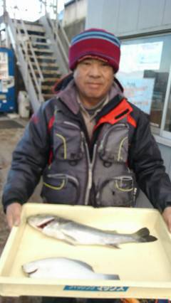 岸和田一文字、カレイ好調キープです♪