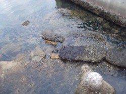 短時間のガシリング【しっかりと足元を探ることが大切】