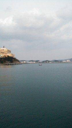 田ノ浦漁港のエギングでコウイカ