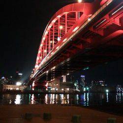 神戸港で18時からガシリングの釣果