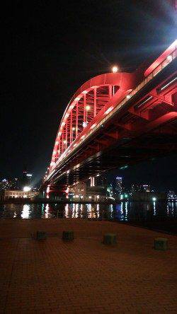 神戸港で18時からガシリングの釣果