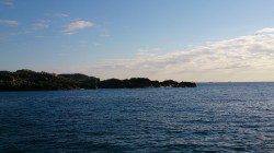 須江のフカセでグレ、エサ取りも多くなく好調です