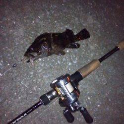 天保山近辺でガシリング、テキサスシンカーは５グラムが◎