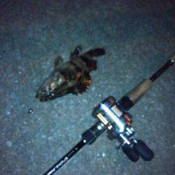 天保山近辺でガシリング、テキサスシンカーは５グラムが◎