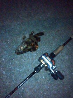 天保山近辺でガシリング、テキサスシンカーは５グラムが◎