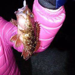 漁船周りを探ってガシリング連続ＨＩＴ