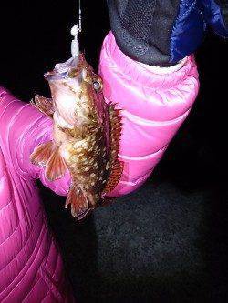 漁船周りを探ってガシリング連続ＨＩＴ