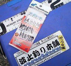 とっとパーク小島で小鯵入れ食い！