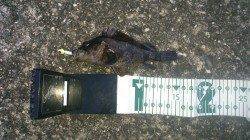 食コン沖向きテトラでタケノコメバル