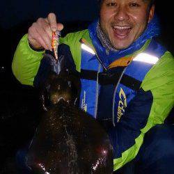 すさみで2014年の初イカ！キロアップもでました！