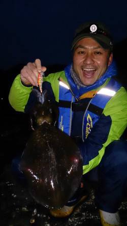 すさみで2014年の初イカ！キロアップもで…