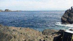 串本・萩尾の磯グレ、朝からアタリ連発で27匹！